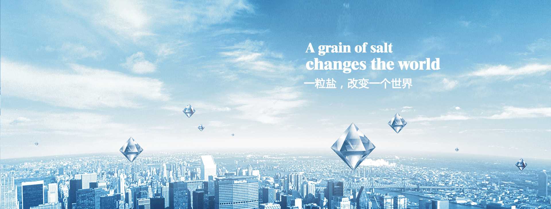 一粒鹽，改變一個世界